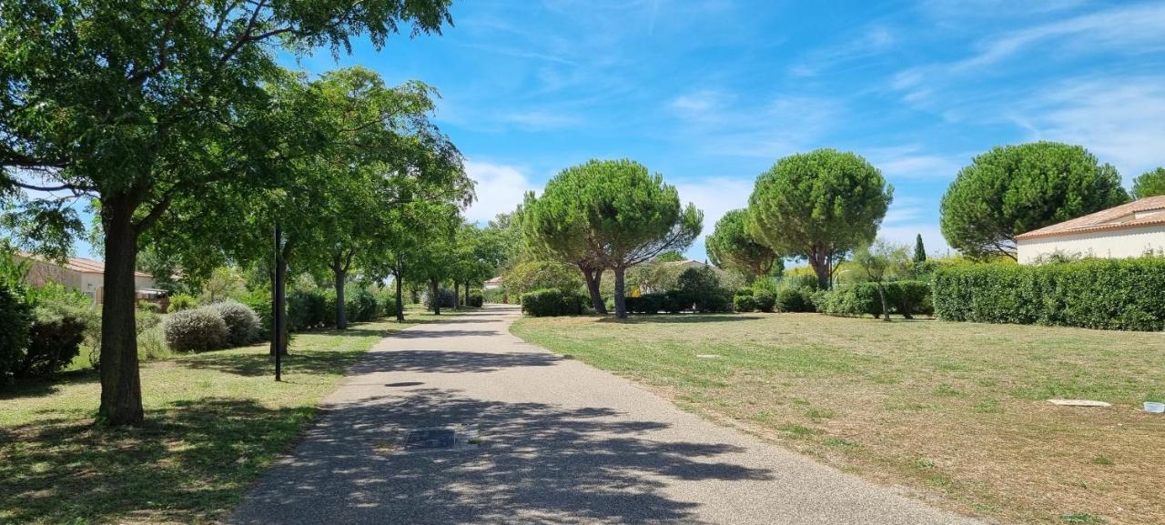 Maison 45M2 Dans Grand Parc Arbore Villa Gallargues-le-Montueux Exterior foto